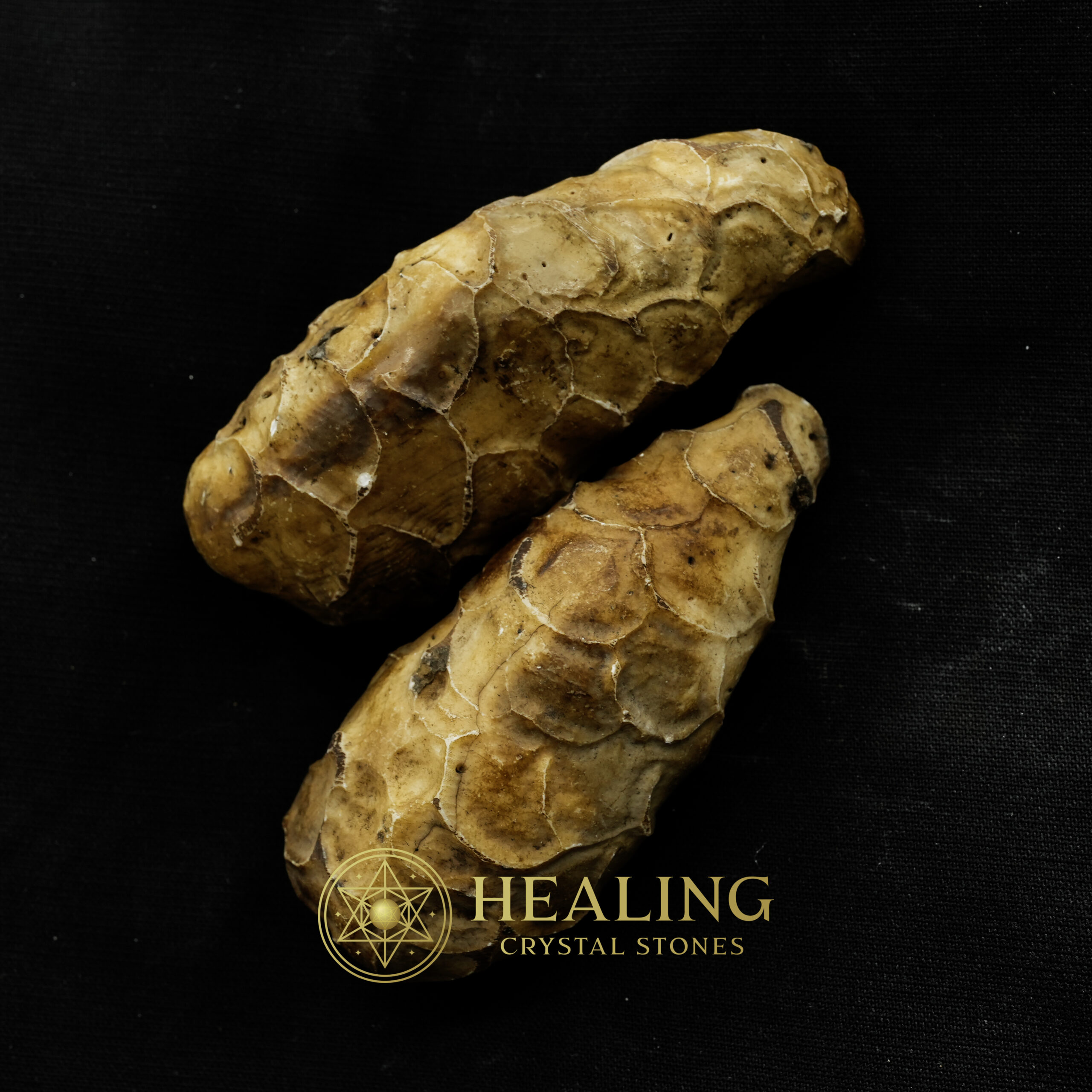White Cobra Pearl - Type B3 (Male) - Healing Crystals, Crystal Stones Mustika Pearls Mustika Stones Talismanic Stones Amulet Stones Healing Stones Spiritual Crystals Crystals Talismans Stones Talisman Crystals Amulet stones mystical shaman shamanic spiritual spiritualism metaphysics occult psychic