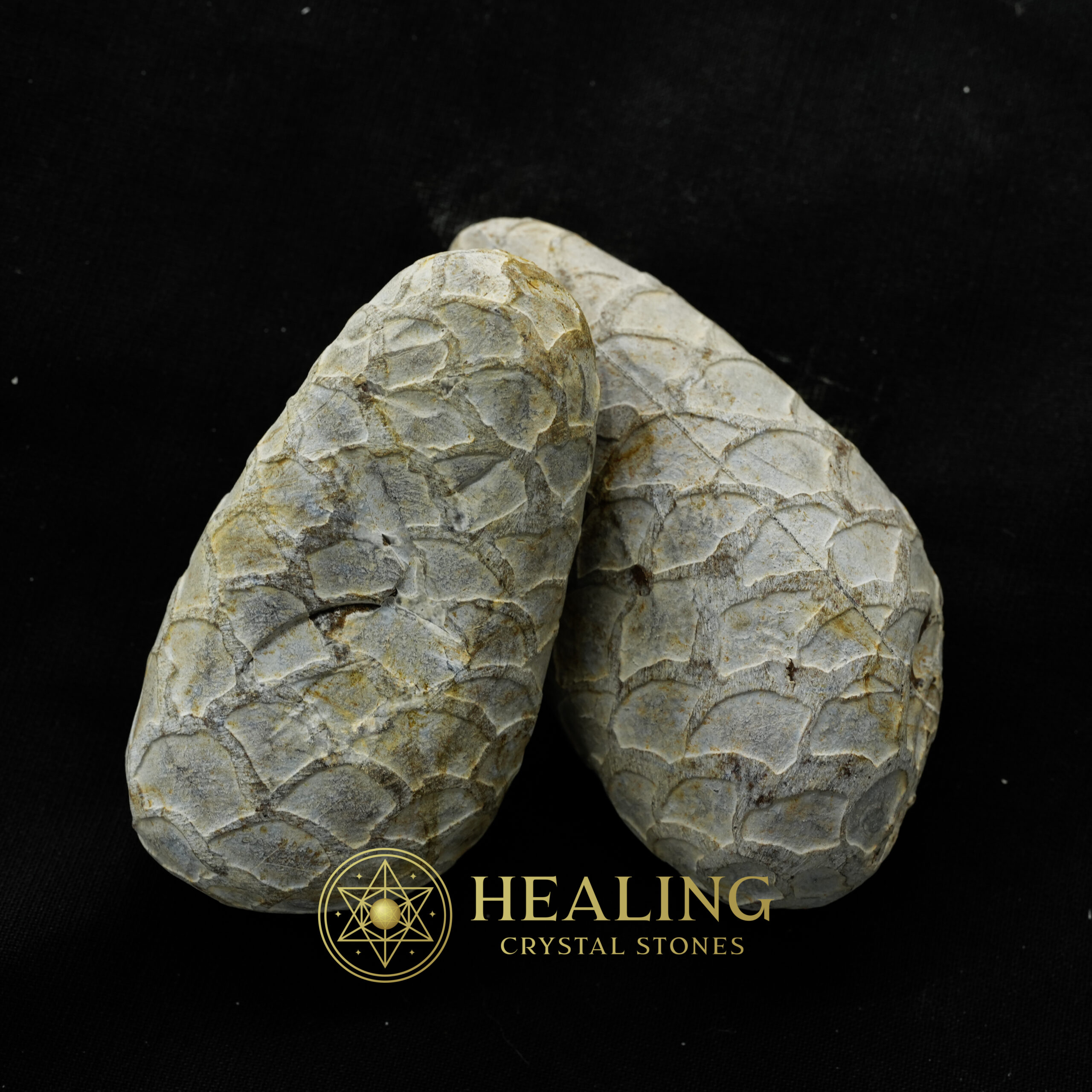 Red Cobra Pearl - Type C1 (Male) - Healing Crystals, Crystal Stones Mustika Pearls Mustika Stones Talismanic Stones Amulet Stones Healing Stones Spiritual Crystals Crystals Talismans Stones Talisman Crystals Amulet stones mystical shaman shamanic spiritual spiritualism metaphysics occult psychic