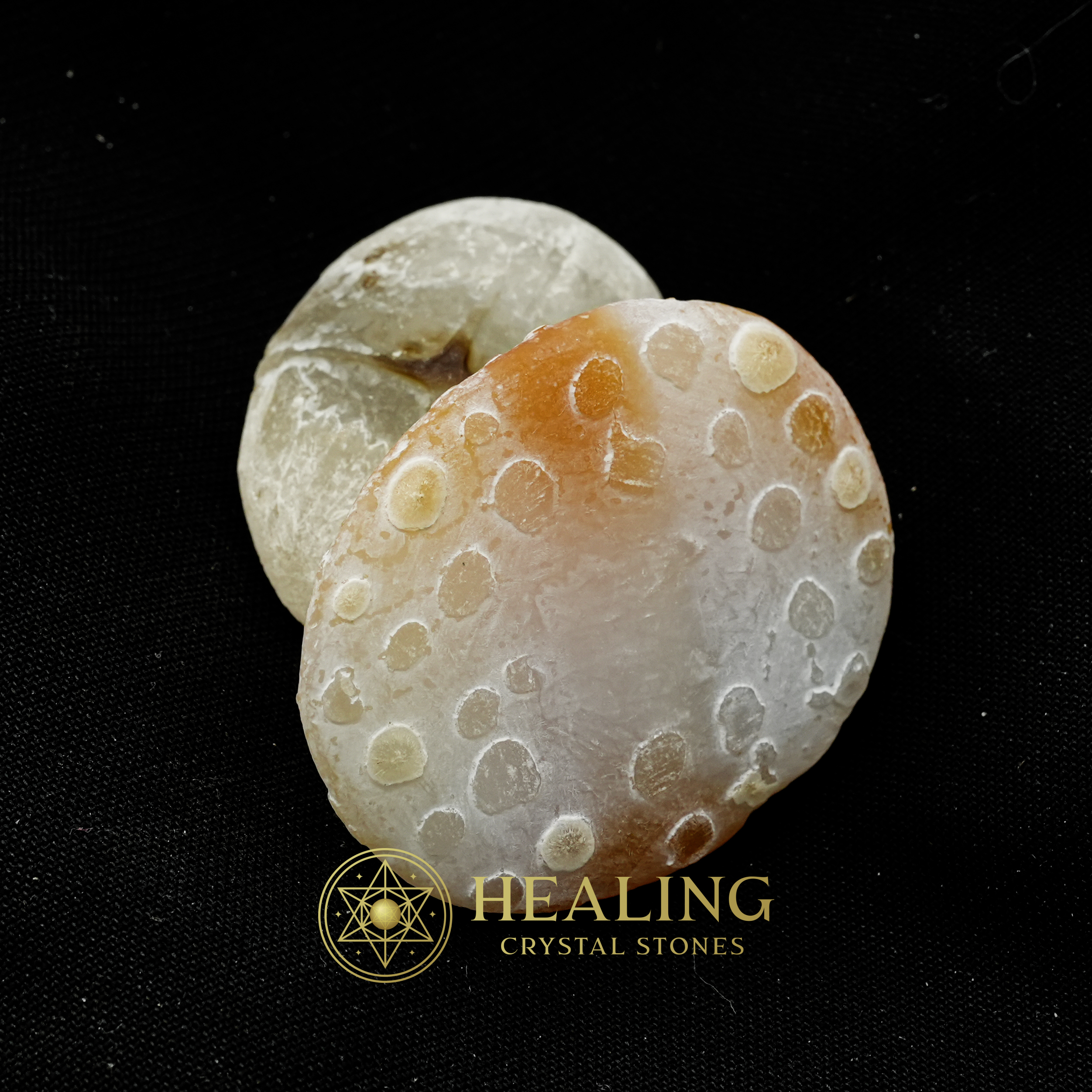 Sanca Kembang Snake Crown - Type A1 - Healing crystals, spiritual stones, mystical crystals, talisman stones, ritual power stones, psychic energy, metaphysical crystals, magickal stones, amulet crystals, shamanic tools