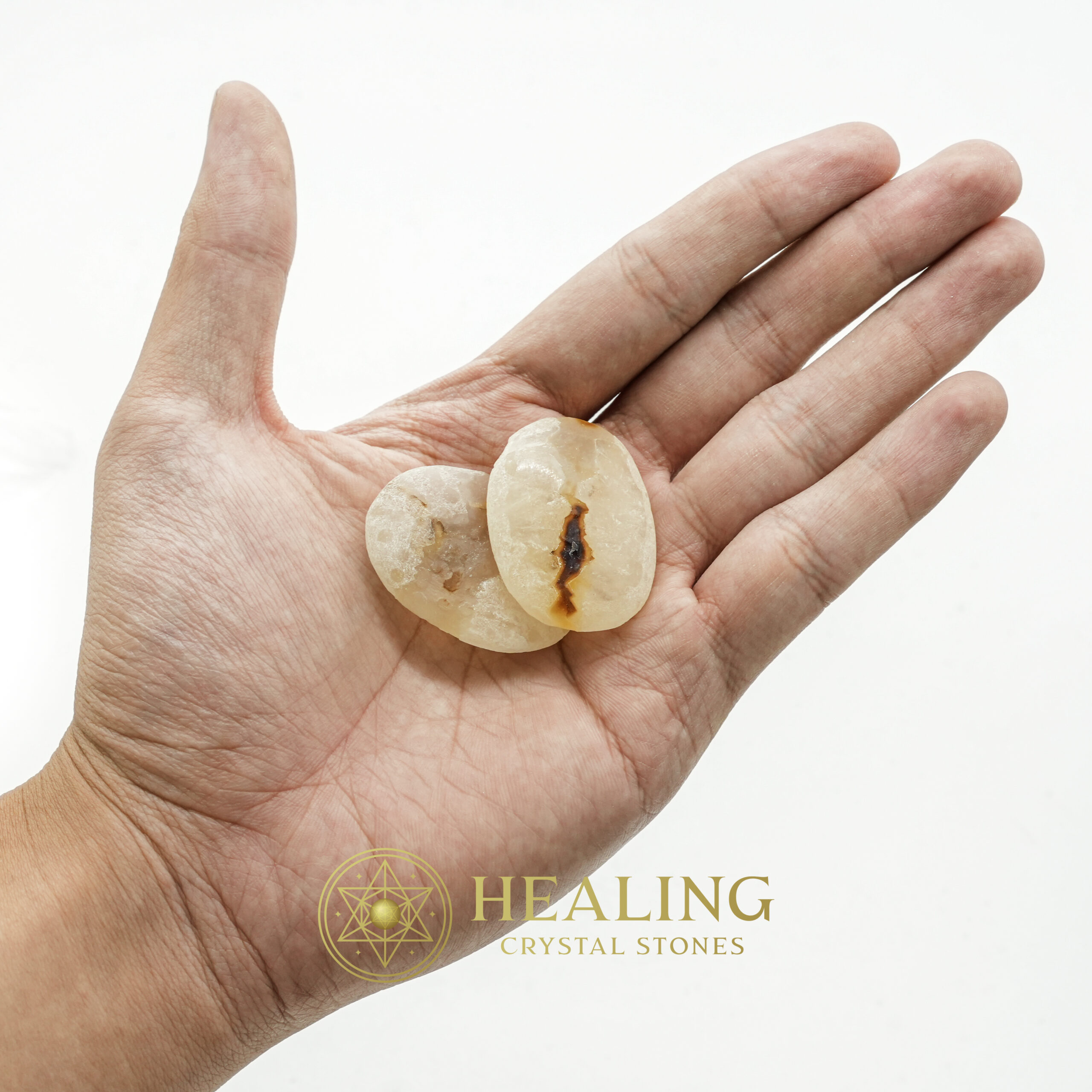 Sanca Kembang Snake Crown - Type A3 - Magickal crystals, healing stones, mystical crystals, spiritual stones, talisman stones, ritual crystals, psychic energy, metaphysical crystals, amulet stones, shamanic tools