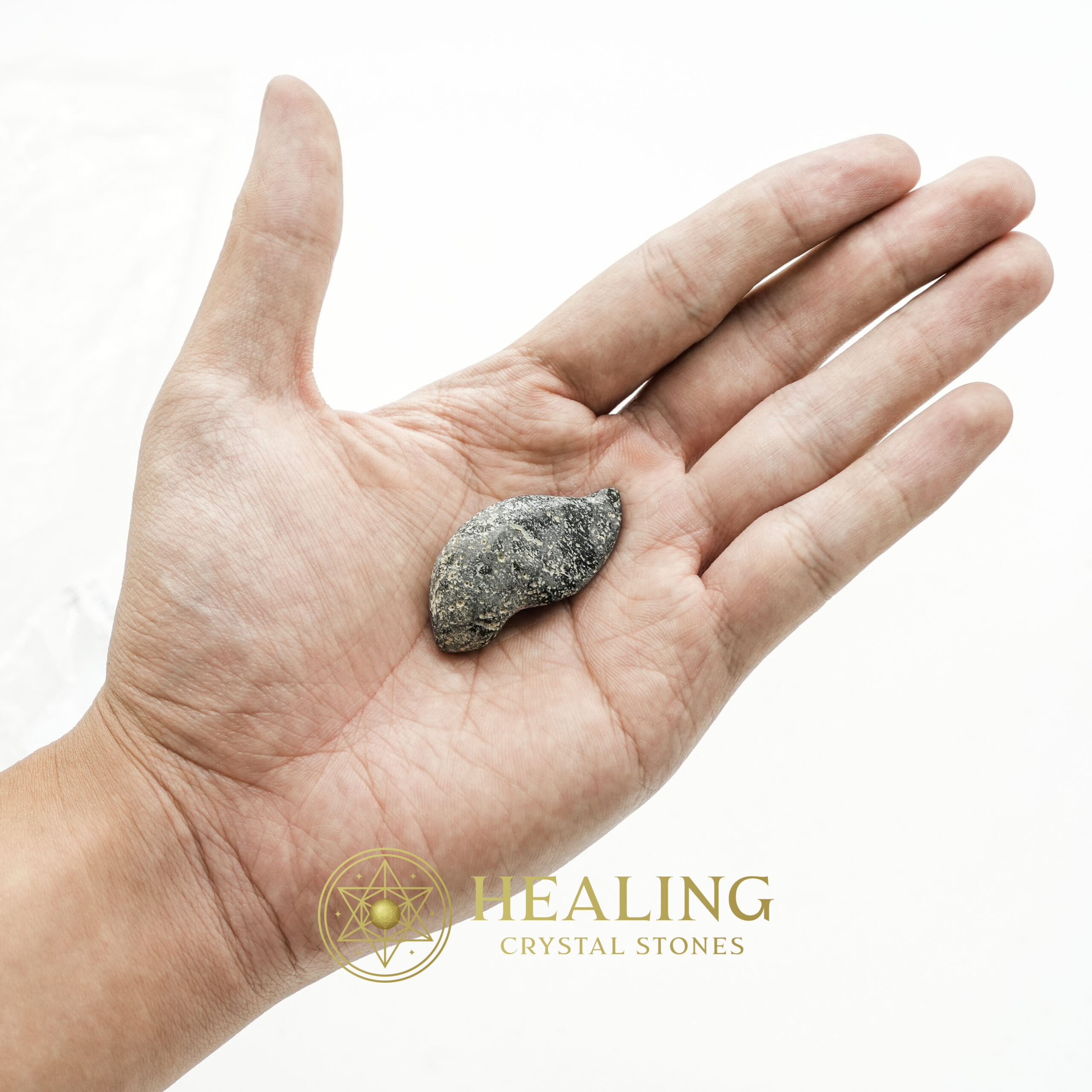 Lizard Pearl - Type H2 "Jungle Lizard" - talisman stones, talisman crystals, amulet stones, protective stones, mystical crystals, sacred stones, spiritual energy crystals, ritual stones, metaphysical crystals, enchanted stones