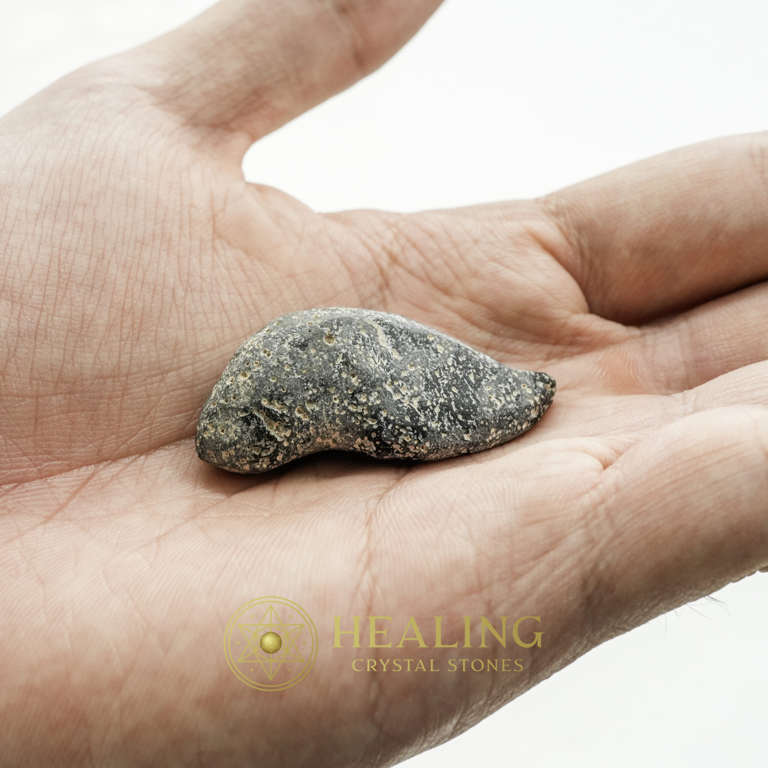 Lizard Pearl - Type H2 "Jungle Lizard" - talisman stones, talisman crystals, amulet stones, protective stones, mystical crystals, sacred stones, spiritual energy crystals, ritual stones, metaphysical crystals, enchanted stones