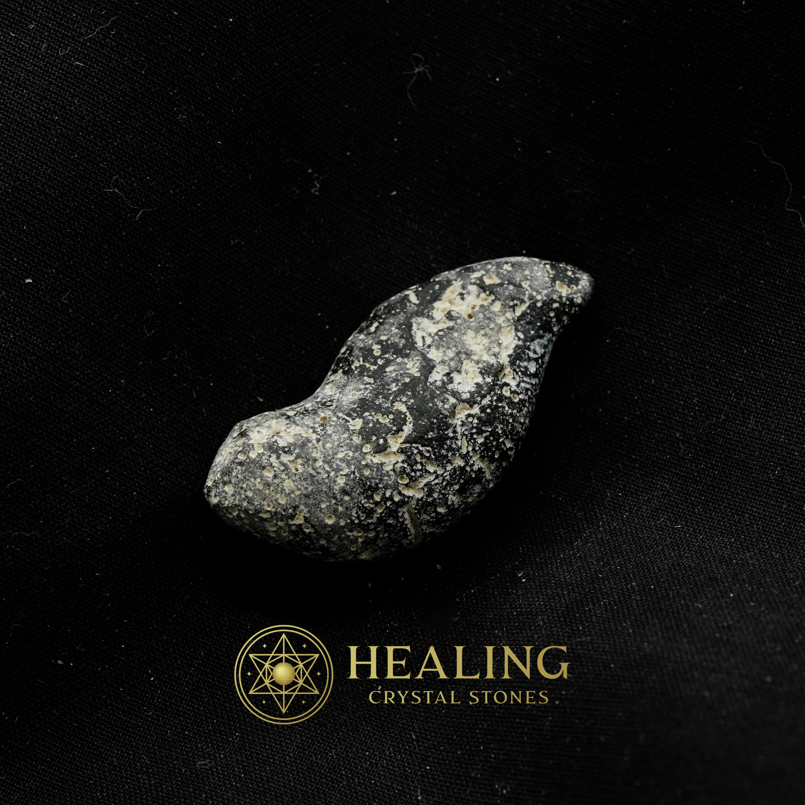 Lizard Pearl - Type H2 "Jungle Lizard" - talisman stones, talisman crystals, amulet stones, protective stones, mystical crystals, sacred stones, spiritual energy crystals, ritual stones, metaphysical crystals, enchanted stones
