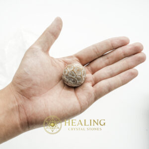 Sanca Putih Snake Pearls - Type D2 - Metaphysical stones, healing crystals, mystical crystals, spiritual crystals, talisman stones, ritual power stones, psychic stones, magickal crystals, energy healing stones, shamanic crystals
