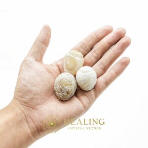 Cobra Pearl - Type P3 - Healing Crystals, Healing Stones, Talismanic Stones, Bezoar Crystals, mystical, spiritualism, psychic, shaman, Magical Stones, Power Animal Stones