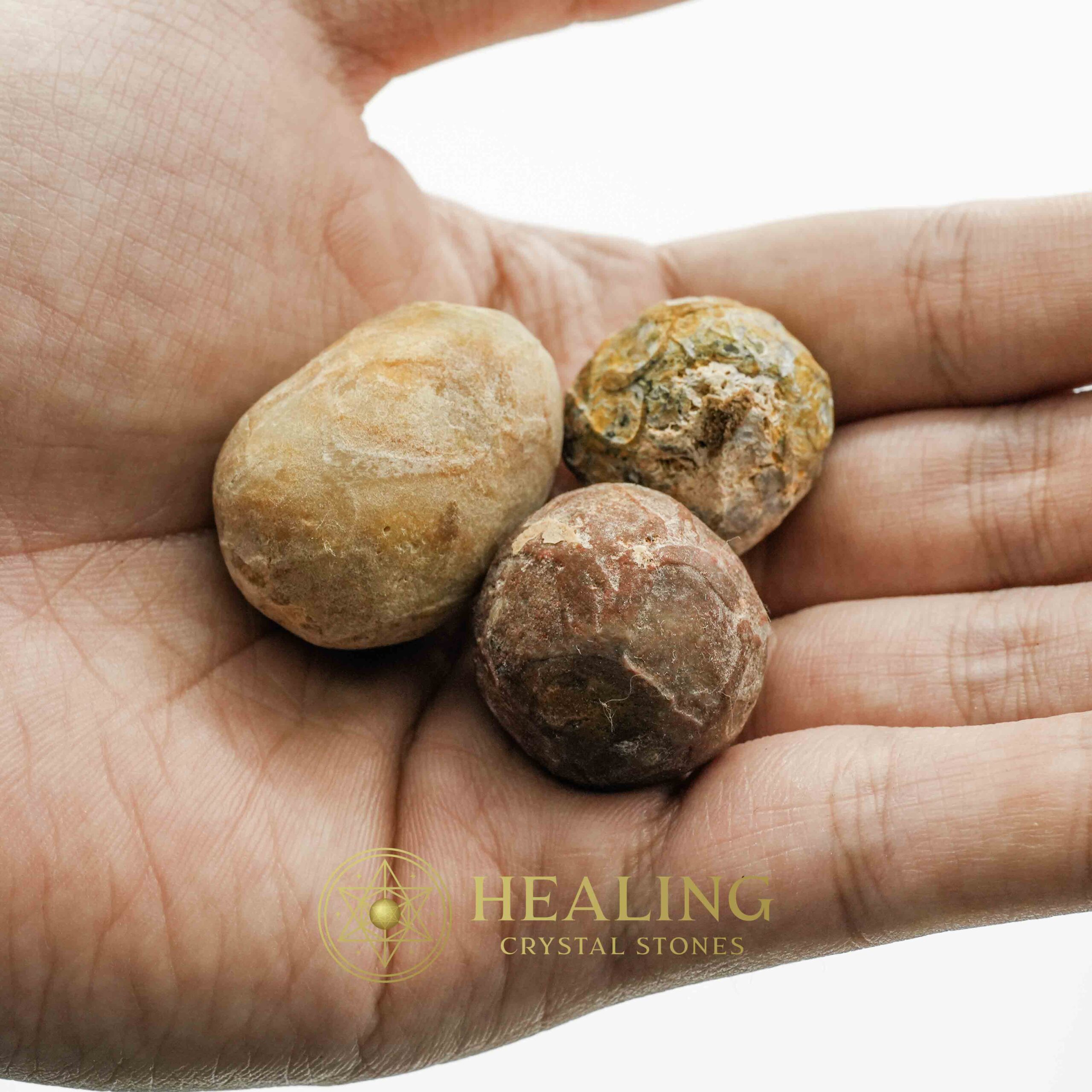 Viper Snake Pearl - Type A1 - Crystal Ritual Healing, Psychic Spiritual Gems, Mystic Sacred Stones, Healing Animal Totems, Ancient Magic Crystals, Ritual Power Talismans, Bezoar Energy Stones, Occult Healing Relics, Metaphysical Crystal Wisdom, Shamanic Charms
