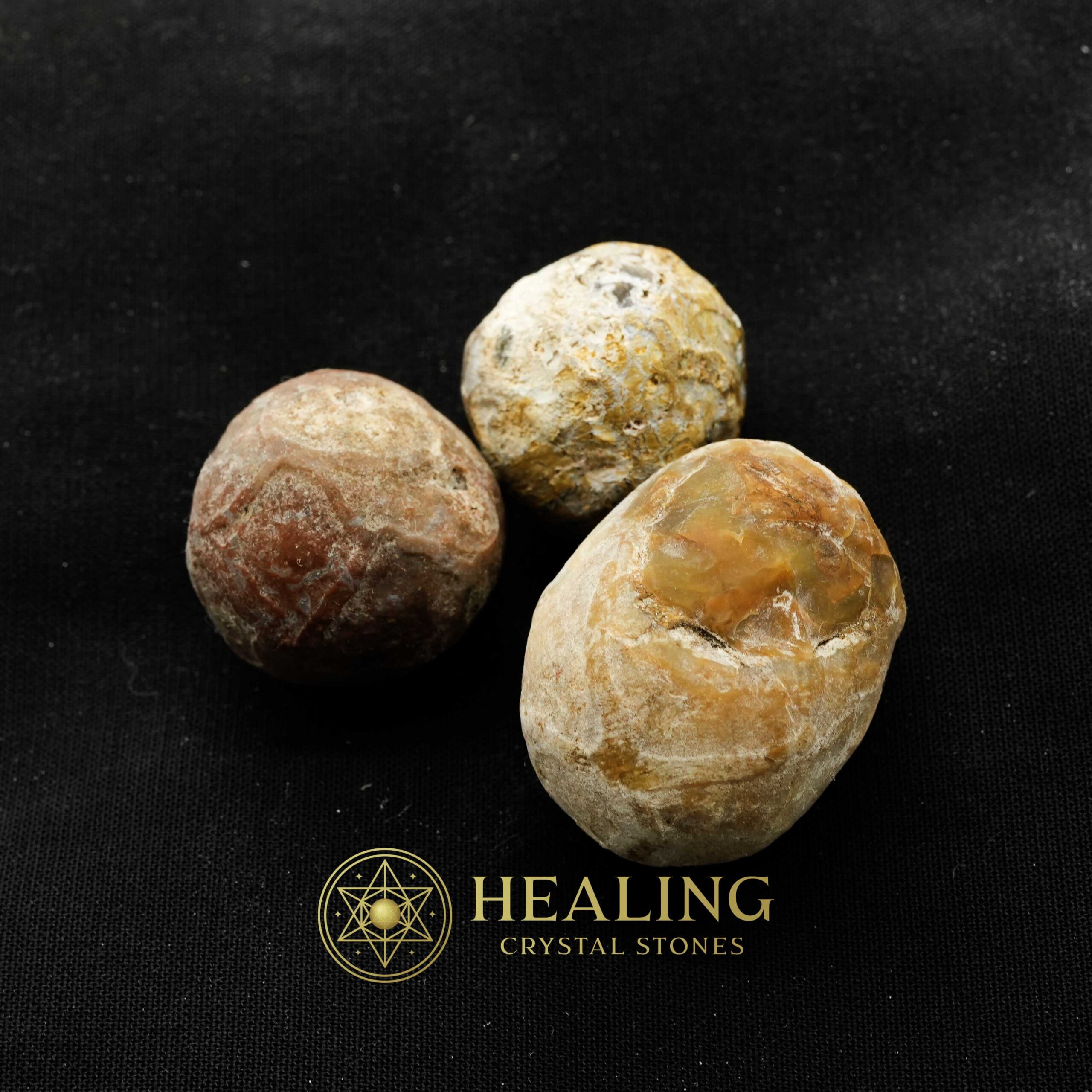 Viper Snake Pearl - Type A1 - Crystal Ritual Healing, Psychic Spiritual Gems, Mystic Sacred Stones, Healing Animal Totems, Ancient Magic Crystals, Ritual Power Talismans, Bezoar Energy Stones, Occult Healing Relics, Metaphysical Crystal Wisdom, Shamanic Charms