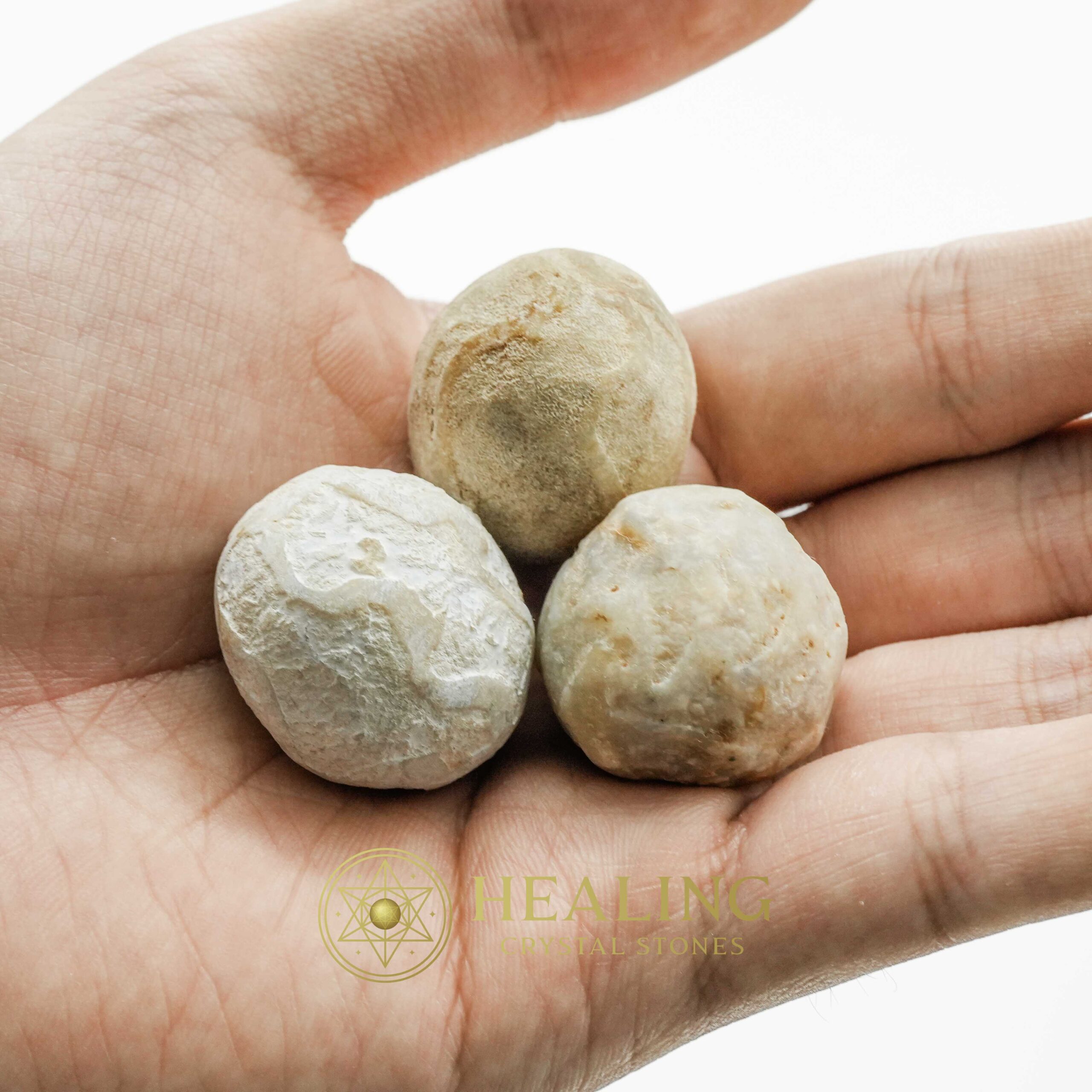 Viper Snake Pearls - Type A3 - Crystal Healing Rituals, Spiritual Power Talismans, Psychic Mystic Crystals, Sacred Totem Energy, Ancient Relic Stones, Healing Bezoar Magic, Animal Spirit Healing, Metaphysical Crystal Power, Occult Symbols, Ritual Energy Gems