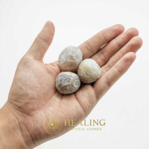 Viper Snake Pearls - Type A4 - Mystical Crystal Talismans, Healing Sacred Stones, Spiritual Psychic Energy, Ritual Totem Crystals, Ancient Bezoar Relics, Animal Spirit Gems, Magickal Ritual Healing, Metaphysical Wisdom Stones, Occult Crystal Power, Sacred Healing Charms