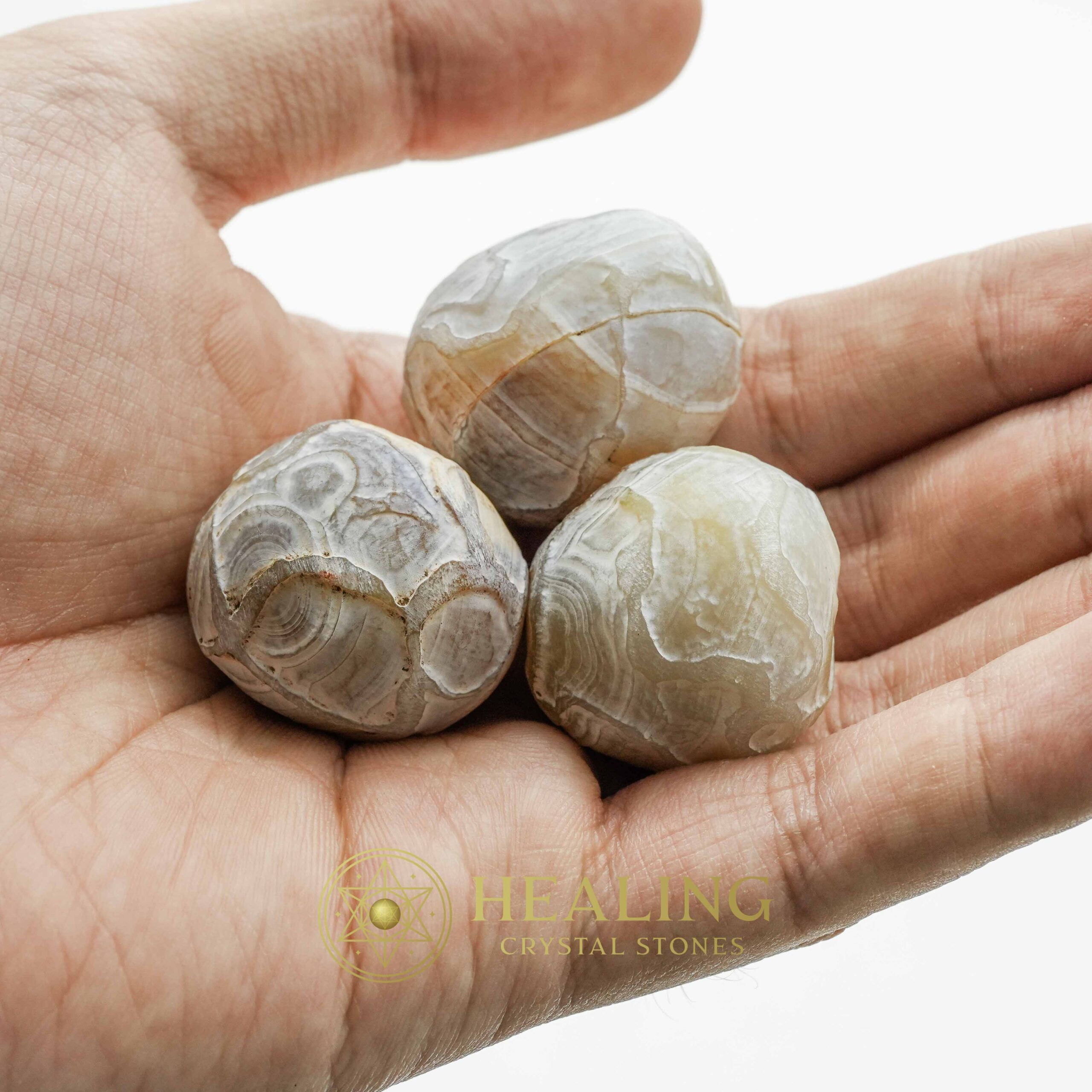 Viper Snake Pearls - Type A4 - Mystical Crystal Talismans, Healing Sacred Stones, Spiritual Psychic Energy, Ritual Totem Crystals, Ancient Bezoar Relics, Animal Spirit Gems, Magickal Ritual Healing, Metaphysical Wisdom Stones, Occult Crystal Power, Sacred Healing Charms