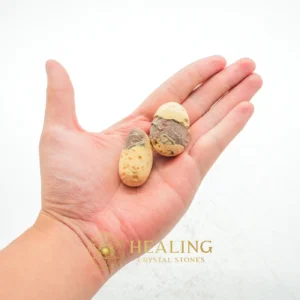 Flying Snake Pearl - Type B1 - Sacred Stones, Sacred Crystals, Divine, Mystical, Enchanted, Relic, Ancient Relic, Mystical Relic, Authentic, Ornamental