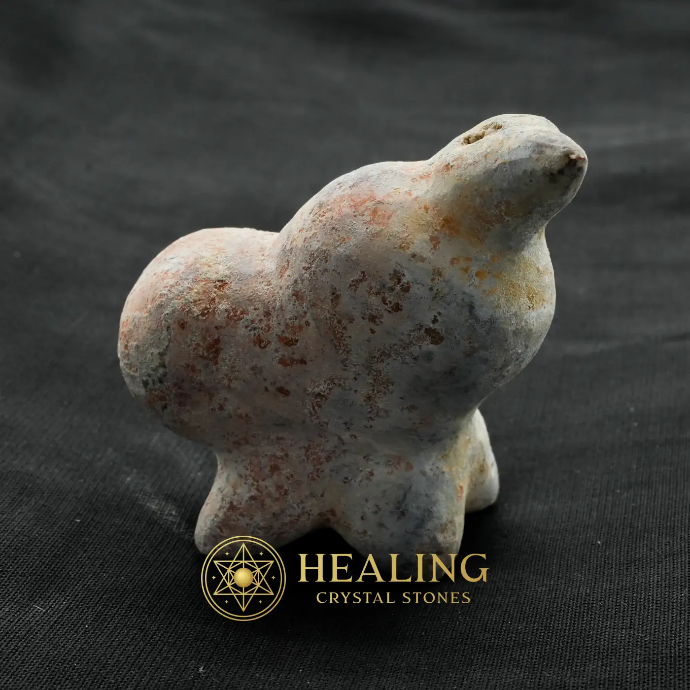 Fossilized Kencur (Galangal) - Type A1 - Healing Bezoar Stones, Animal Totem Stones, Power Animal Stones, Spirit Stone, Guardian Stone, Protection, Positive Energy, Cleansing, Harmony, Inner Wisdom