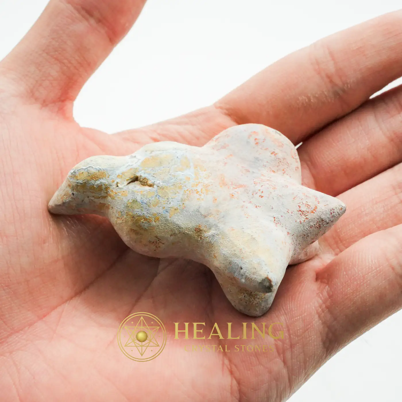 Fossilized Kencur (Galangal) - Type A1 - Ritual Crystals, Ceremonial, Ritualistic, Mysticism, Divine, Sacred, Spiritualism, Meditation, Universal Energy, Aura