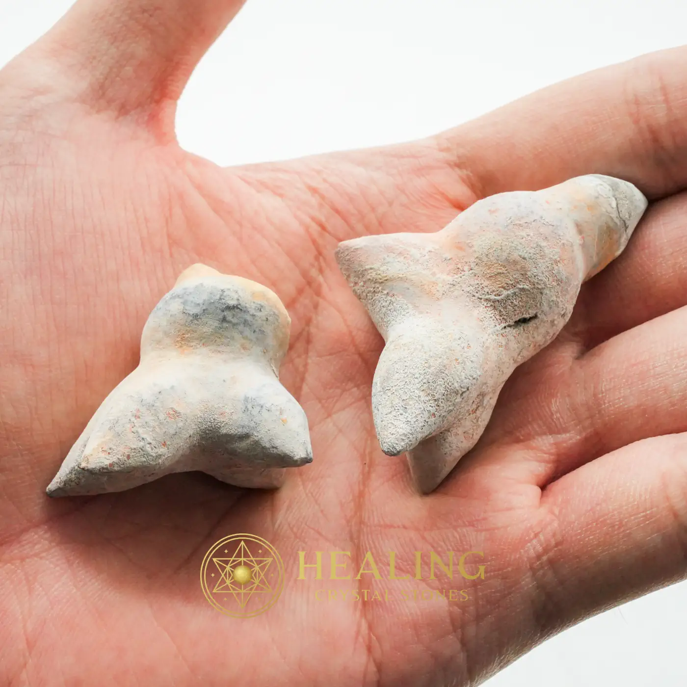 Fossilized Kencur (Galangal) - Type A2 - Mustika Pearls, Healing Crystals, Crystal Stones, Energy Stones, Guardian Crystal, Sacral Chakra Crystal, Balance, Meditation, Harmony, Positive Energy