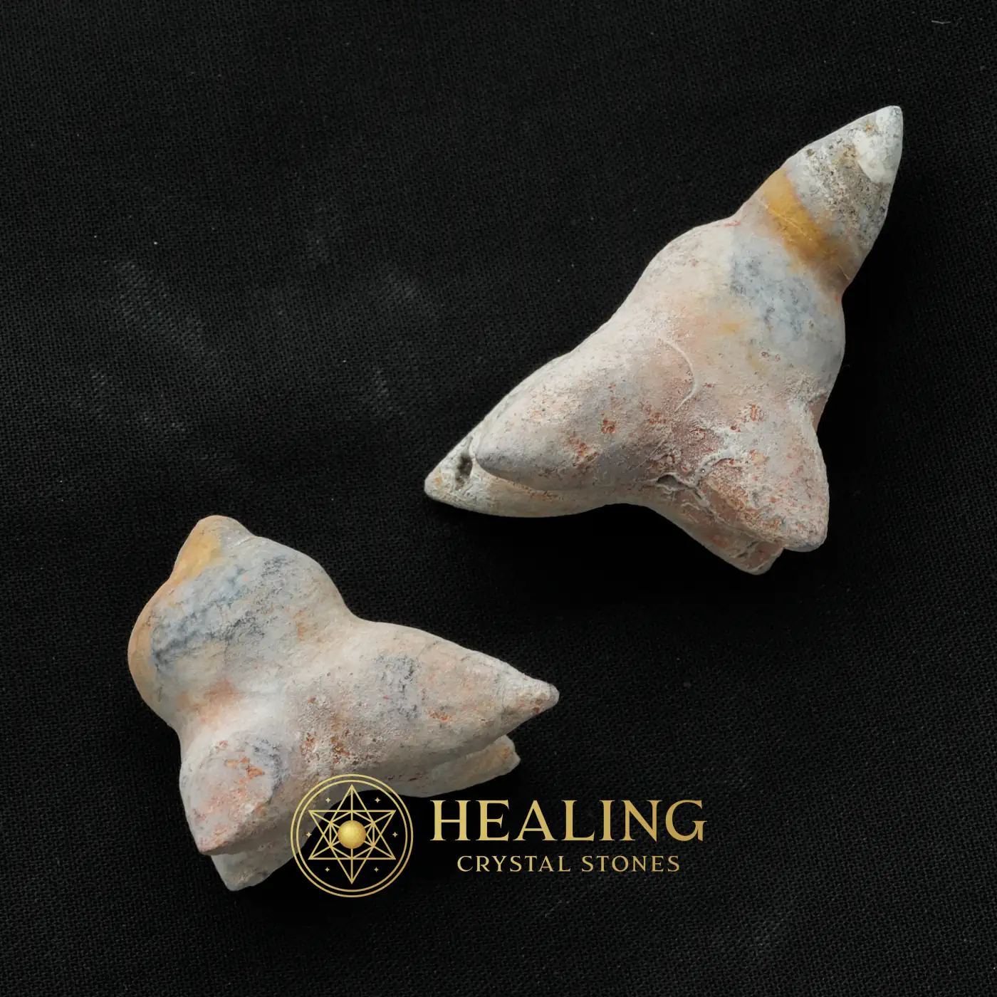 Fossilized Kencur (Galangal) - Type A2 - Bezoar Crystals, Healing Stones, Nature Crystal, Aura Crystal, Cleansing, Purification, Protection, Guardian Talisman, Luck, Fortune