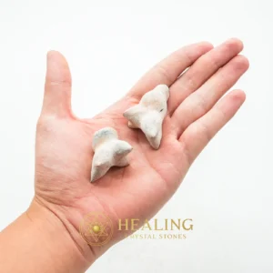 Fossilized Kencur (Galangal) - Type A2 - Esoteric Artifact, Occult Artifact, Esoteric Crystal, Esoteric Stone, Psychic, Occult, Metaphysics, Mystical, Divine, Rare