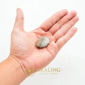 Fossilized Komodo Lizard - Type A2 - Power Animal Stones, Animal Totem Stones, Guardian Crystal, Guardian Stone, Spirit Crystal, Spirit Stone, Nature Stone, Nature Crystal, Shaman, Shamanic