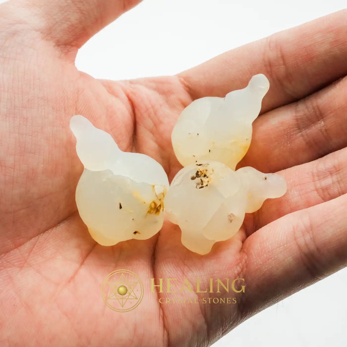 Fossilized Wijoyo Kusumo Flower - Type A - Magical Stones, Enchanted Stones, Ritual Power Stones, Sacred Stones, Mystical Relic, Ancient Relic, Authentic, Rare, Divine, Protection