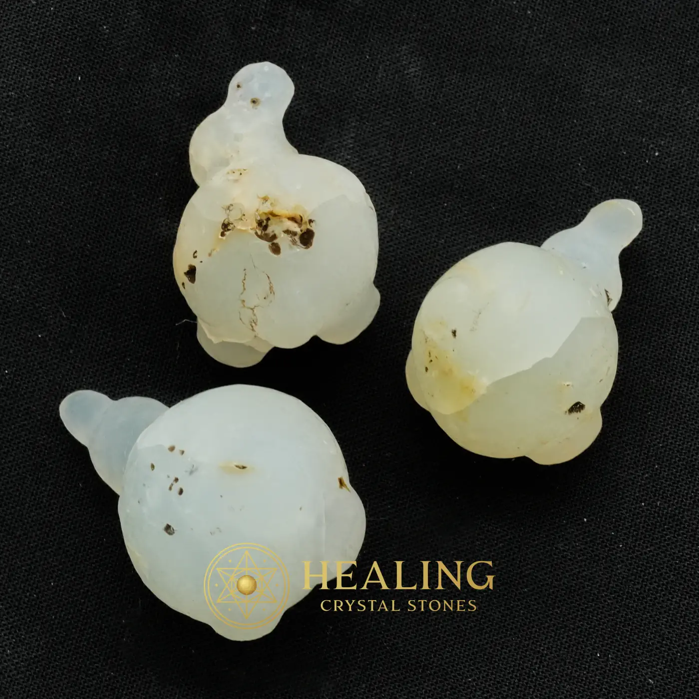 Fossilized Wijoyo Kusumo Flower - Type A - Healing Crystals, Spiritual Crystals, Energy Stones, Sacred Crystals, Spirit Stone, Meditation, Chakra, Aura, Positive Energy, Harmony