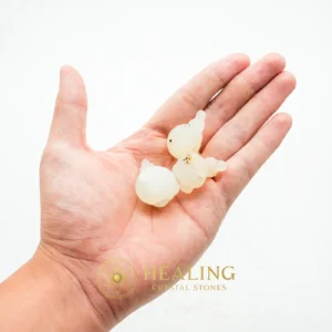 Fossilized Wijoyo Kusumo Flower - Type A - Animal Totem Stones, Power Animal Stones, Nature Crystal, Earth Spirit Stone, Spirit Stone, Shamanic, Mysticism, Inner Wisdom, Aura, Cleansing