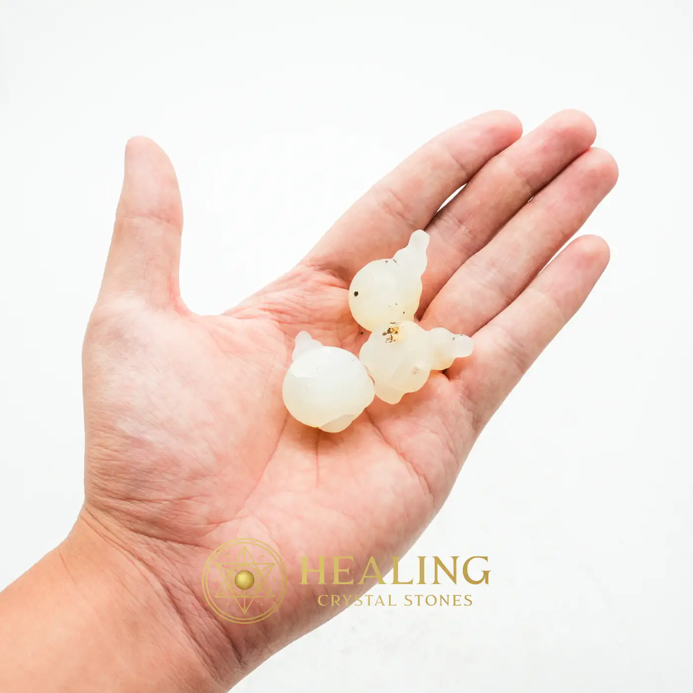 Fossilized Wijoyo Kusumo Flower - Type A - Animal Totem Stones, Power Animal Stones, Nature Crystal, Earth Spirit Stone, Spirit Stone, Shamanic, Mysticism, Inner Wisdom, Aura, Cleansing