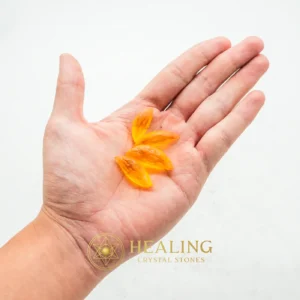 Golden Lizard Pearl - Type C1 - Energy Shield Crystal, Negative Energy Protection, Protective Stone, Warding Stone, Guardian Stone, Guardian Crystal, Guardian Talisman, Protection, Cleansing, Purification