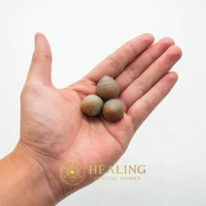 Komodo Lizard Crown Pearls - Type A - Spiritual Healing, Emotional Healing, Healing Crystals, Healing Stones, Meditation, Chakra, Aura, Aura Crystal, Inner Wisdom, Positive Energy