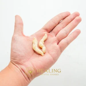 Lizard Pearls - Type O - Crystal Stones, Healing Stones, Spiritual Crystals, Chakra, Meditation, Inner Wisdom, Harmony, Protection, Unique, Nature Crystal
