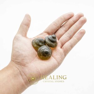 Python Crown Pearls - Type F4 - Healing Crystals, Crystal Stones, Mustika Pearls, Mustika Stones, Spiritual Crystals, Bezoar Stones, Bezoar Crystals, psychic, occult, spiritualism