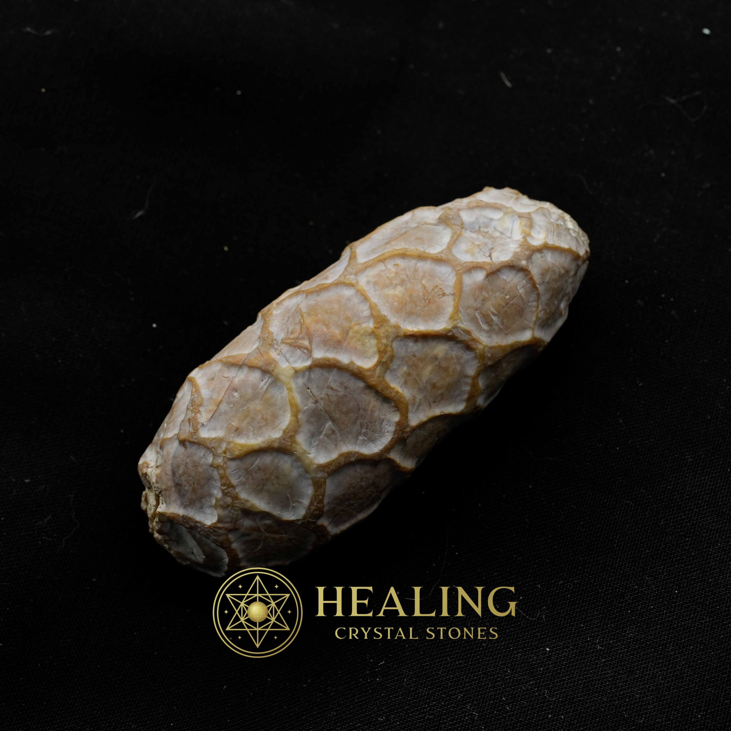 Python Pearl - Type D - Talismanic Stones, Amulet Stones, Healing Stones, Spiritual Crystals, Bezoar Stones, Bezoar Crystals, Magical Stones, metaphysics, shaman, psychic