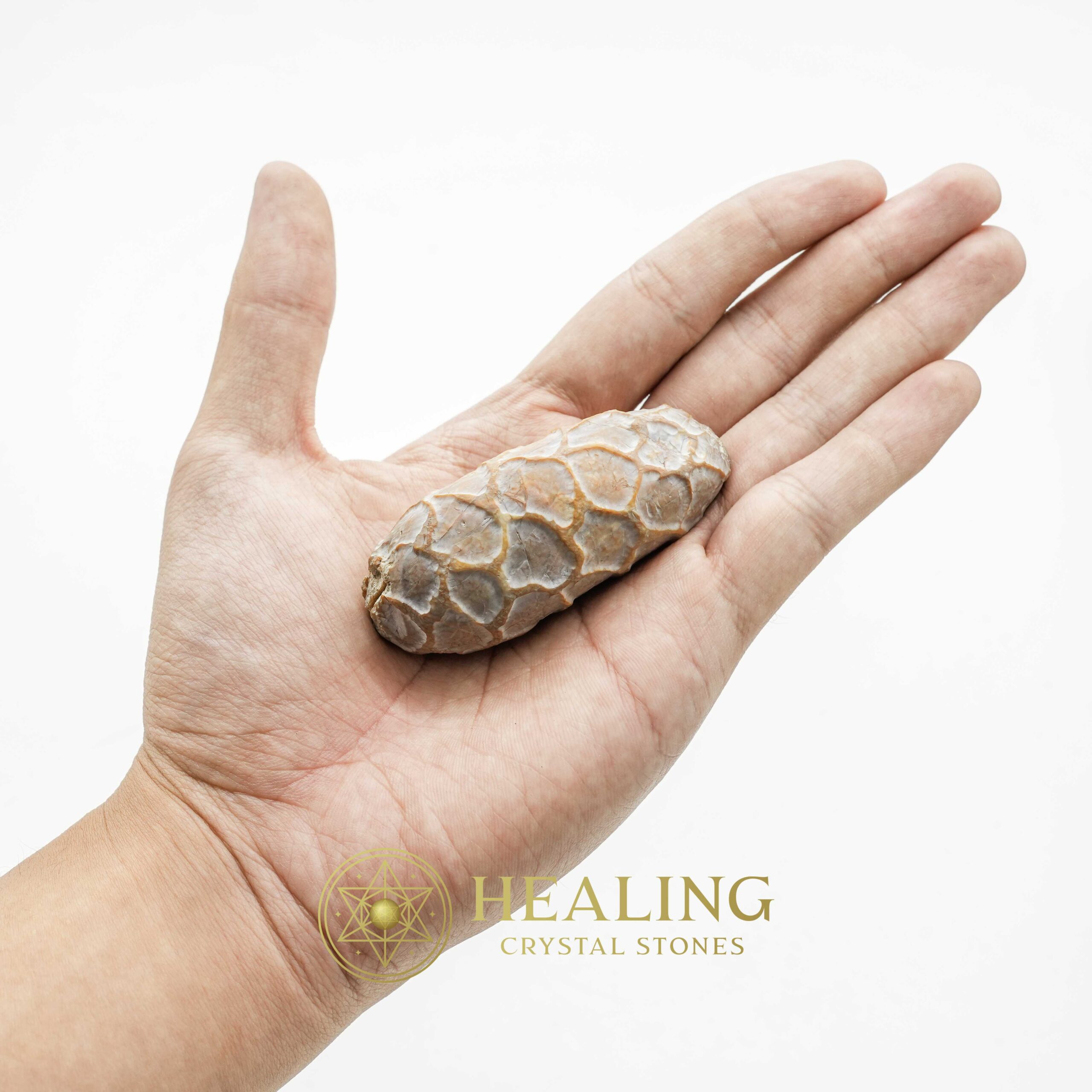 Python Pearl - Type D - Talismanic Stones, Amulet Stones, Healing Stones, Spiritual Crystals, Bezoar Stones, Bezoar Crystals, Magical Stones, metaphysics, shaman, psychic