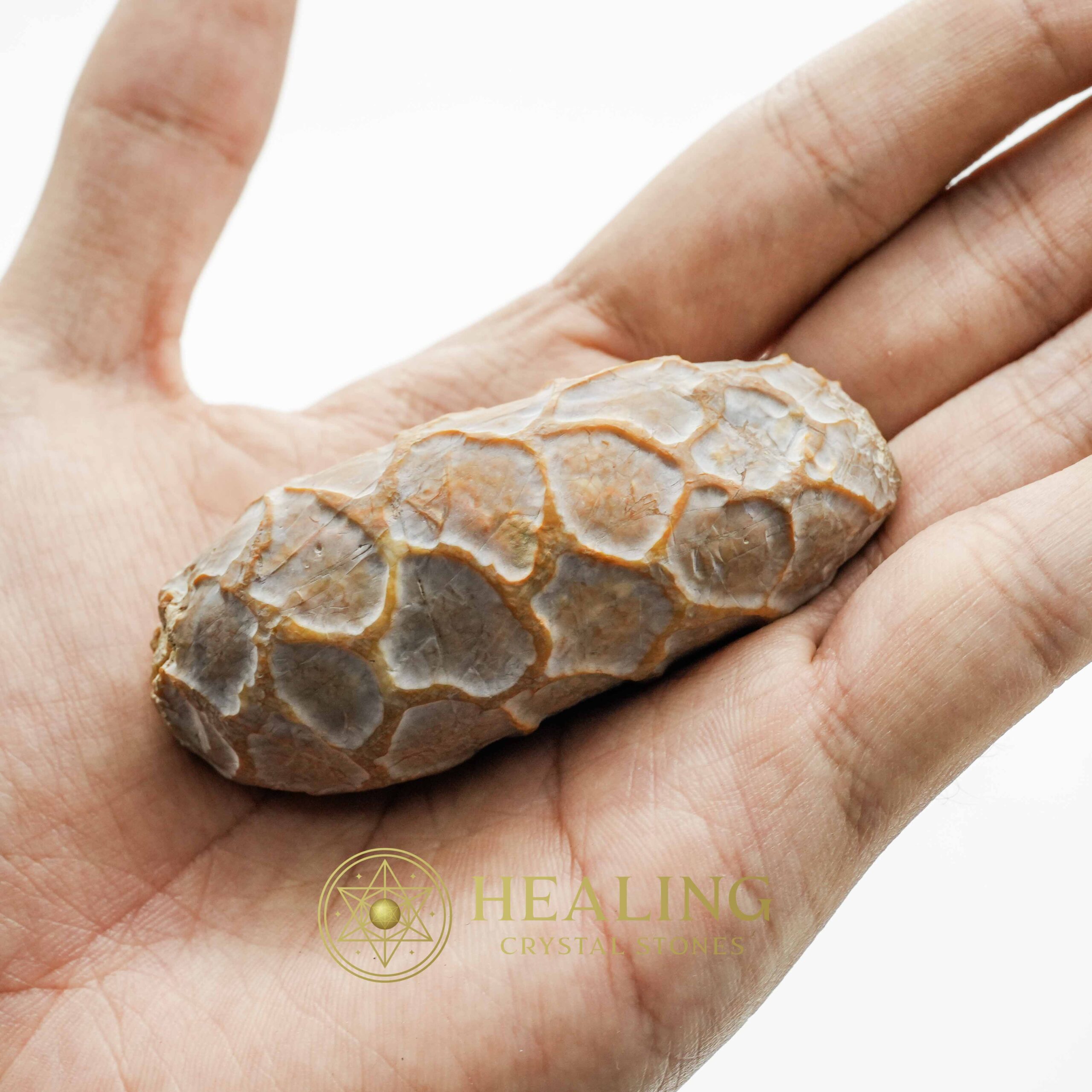 Python Pearl - Type D - Talismanic Stones, Amulet Stones, Healing Stones, Spiritual Crystals, Bezoar Stones, Bezoar Crystals, Magical Stones, metaphysics, shaman, psychic