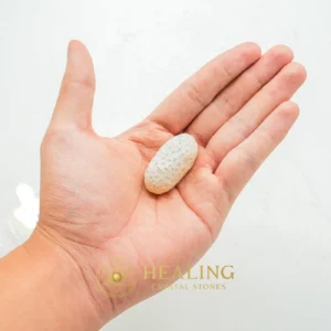 Rattle Snake Pearl - Type A1 - Authentic, Antique, Rare, Exotic, Unique, Exceptional, Ornamental, Artifact, Relic, Ancient Relic