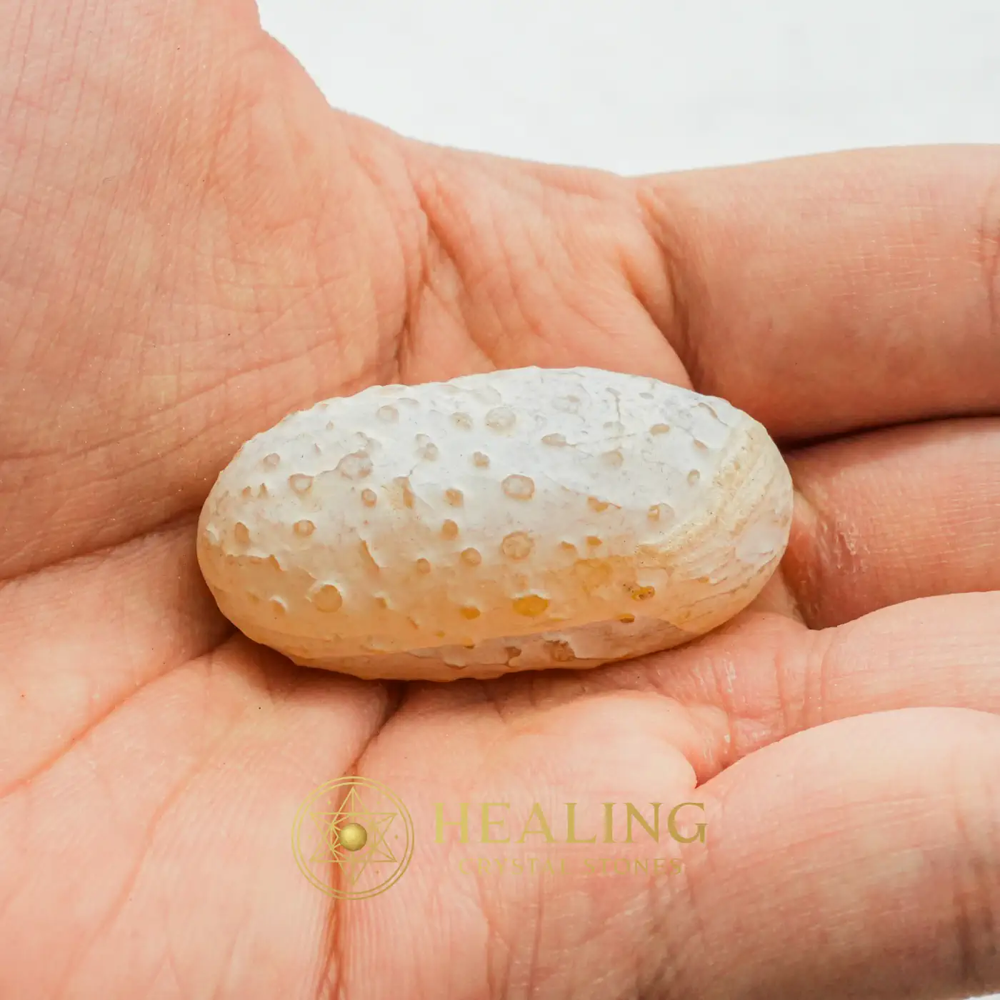 Rattle Snake Pearl - Type A1 - Crystals, Crystal Stones, Healing Crystals, Healing Stones, Spiritual Crystals, Sacred Crystals, Magickal Crystals, Ritual Crystals, Enchanted, Rare