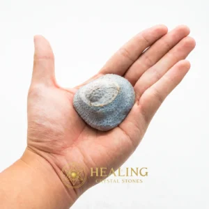 Sanca Madu Snake Crown - Type E3 - Healing Crystals, Sacred Crystals, Mustika Pearls, Bezoar Stones, Talisman Crystals, Guardian Amulet, Aura Crystal, Protection, Fortune, Spiritual Healing