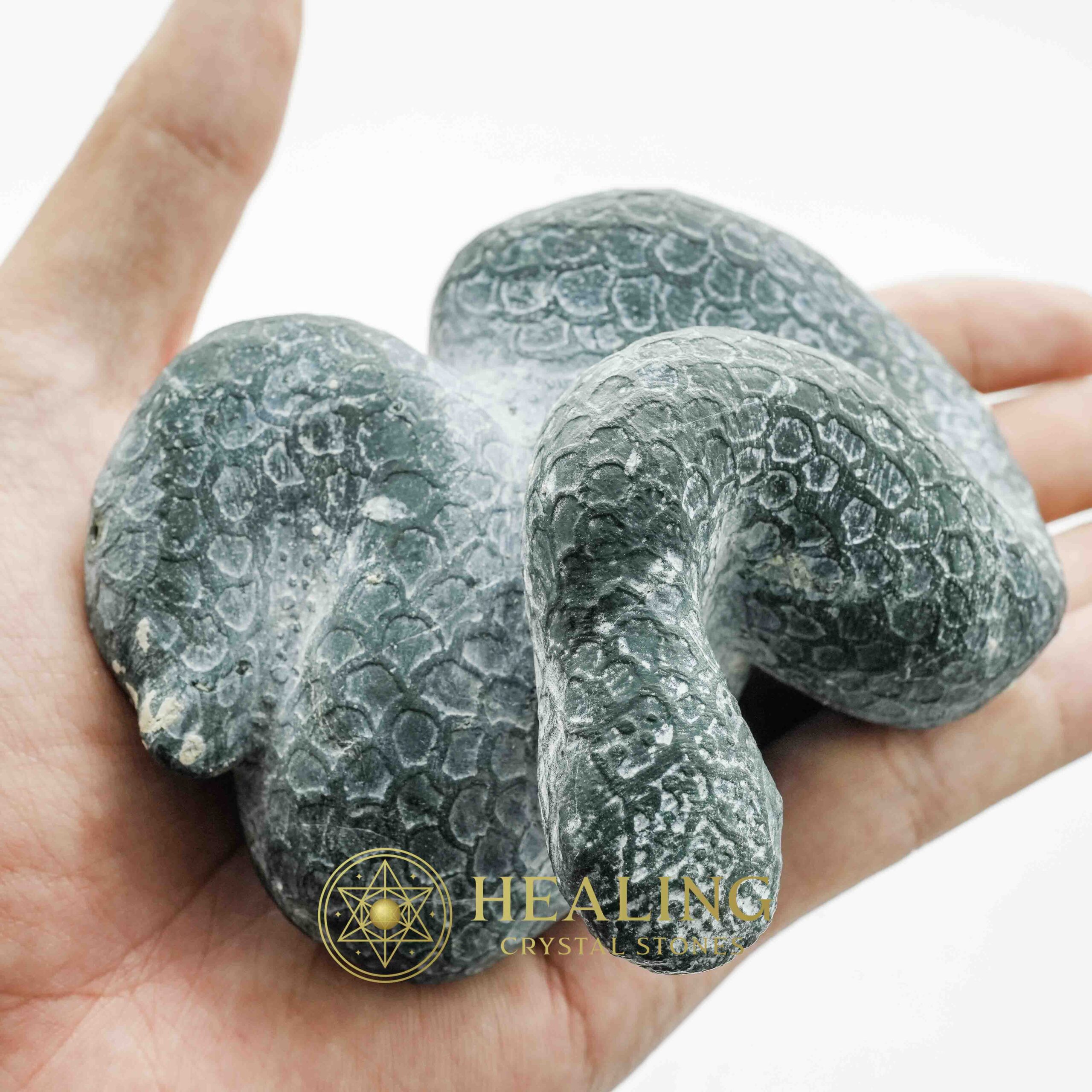 Snake Fossils D1 - Amulet stones, Healing Crystals, Crystal Stones, Mustika Pearls, Mustika Stones, Talismanic Stones, Amulet Stones, spiritual, mystical, occult
