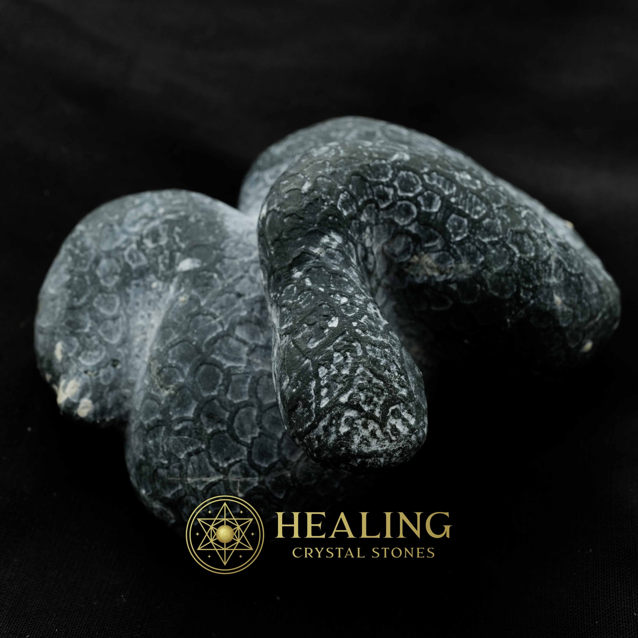Snake Fossils D1 - Amulet stones, Healing Crystals, Crystal Stones, Mustika Pearls, Mustika Stones, Talismanic Stones, Amulet Stones, spiritual, mystical, occult