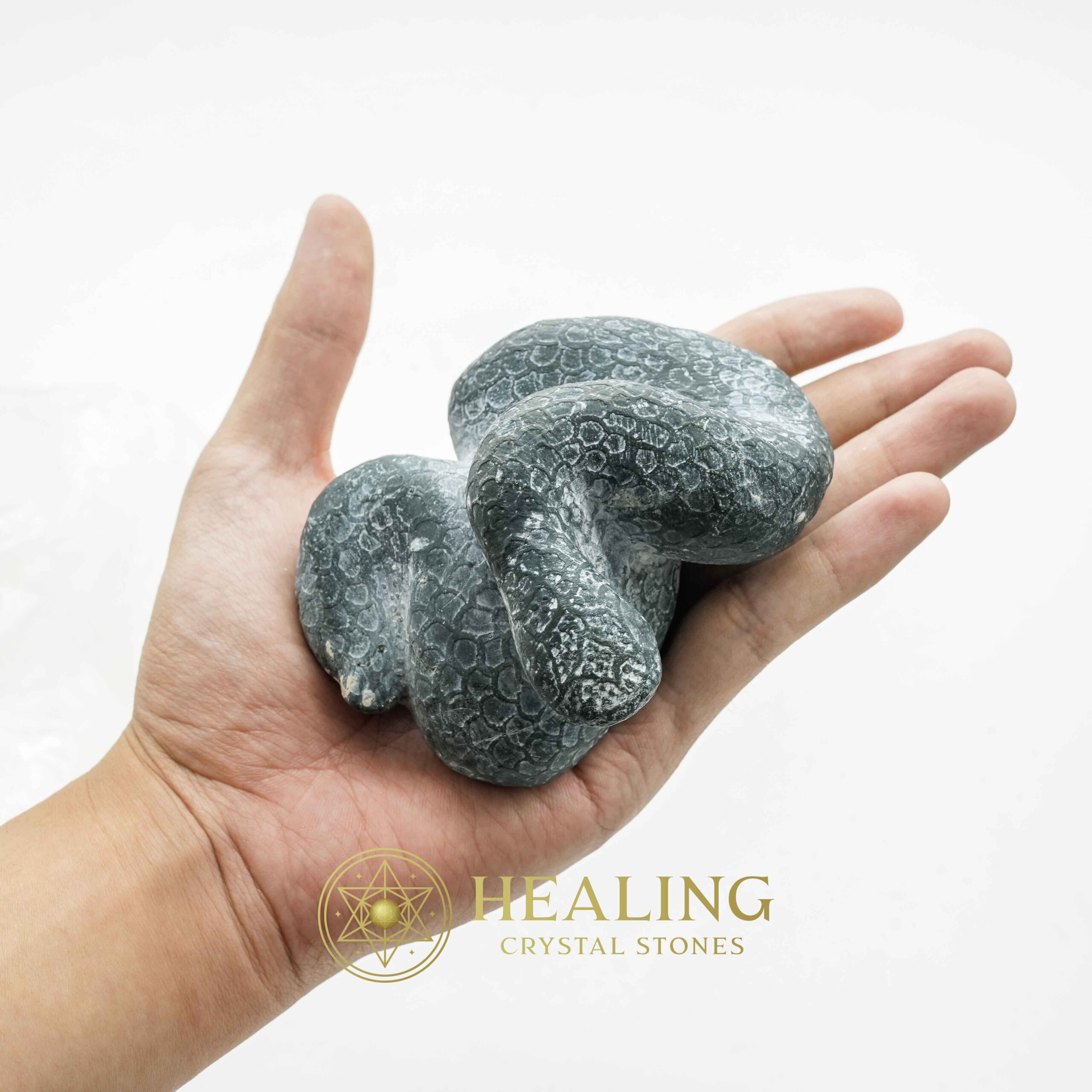 Snake Fossils D1 - Amulet stones, Healing Crystals, Crystal Stones, Mustika Pearls, Mustika Stones, Talismanic Stones, Amulet Stones, spiritual, mystical, occult