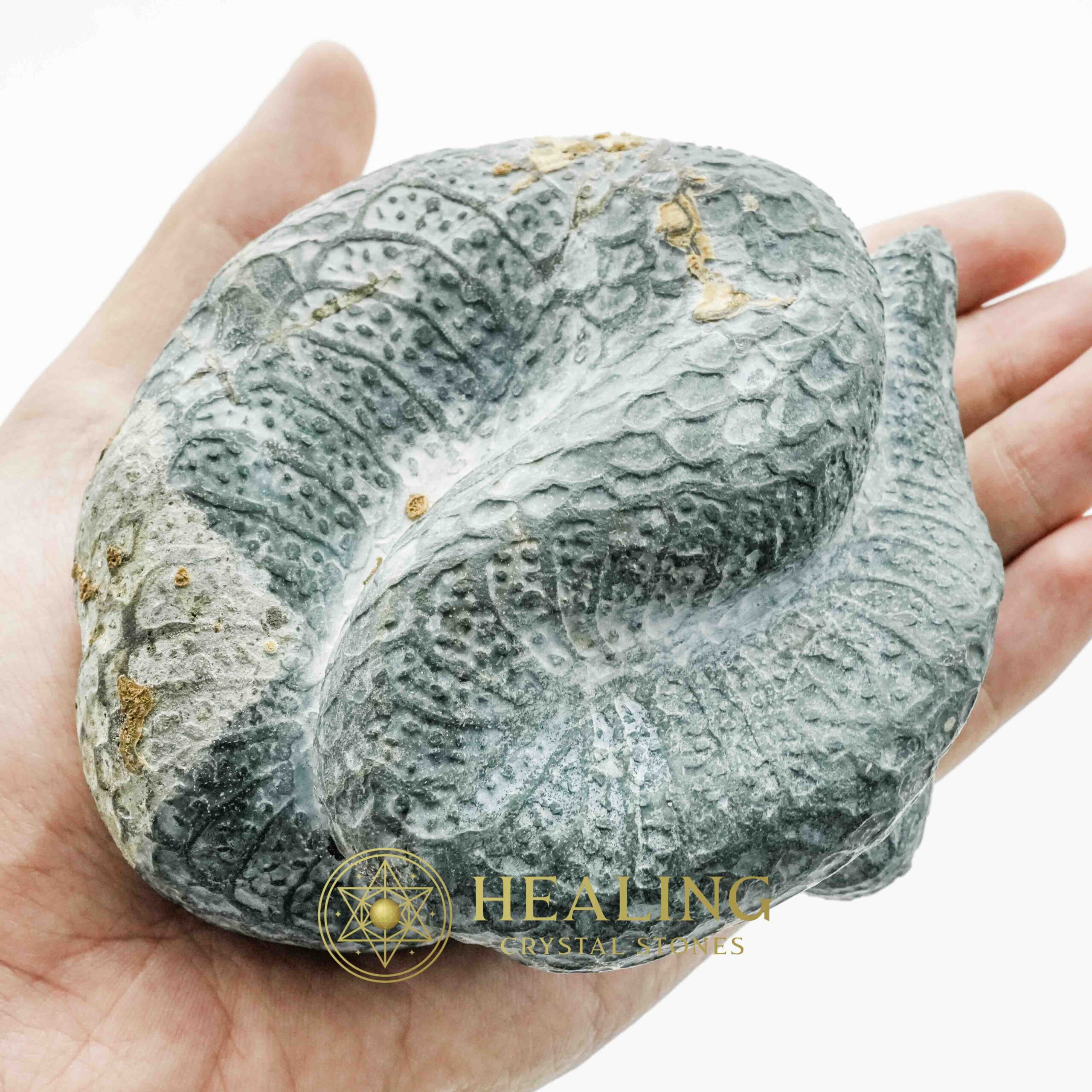 Snake Fossils - Type D5 - Spiritual Crystals, Bezoar Stones, Bezoar Crystals, Healing Bezoar Stones, Animal Totem Stones, Magical Stones, Magickal Stones, occult, mystical, spiritual