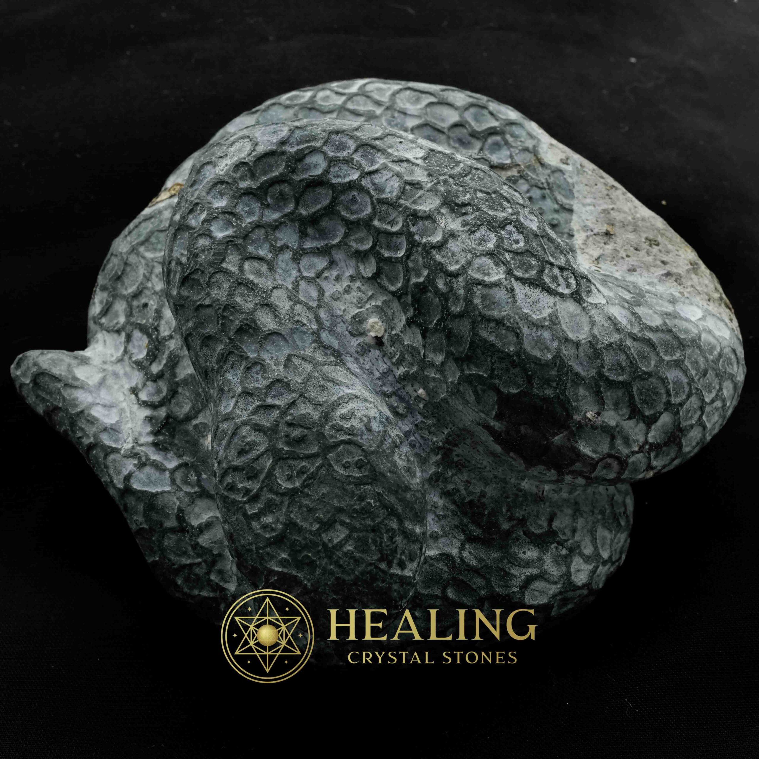 Snake Fossils - Type D5 - Spiritual Crystals, Bezoar Stones, Bezoar Crystals, Healing Bezoar Stones, Animal Totem Stones, Magical Stones, Magickal Stones, occult, mystical, spiritual