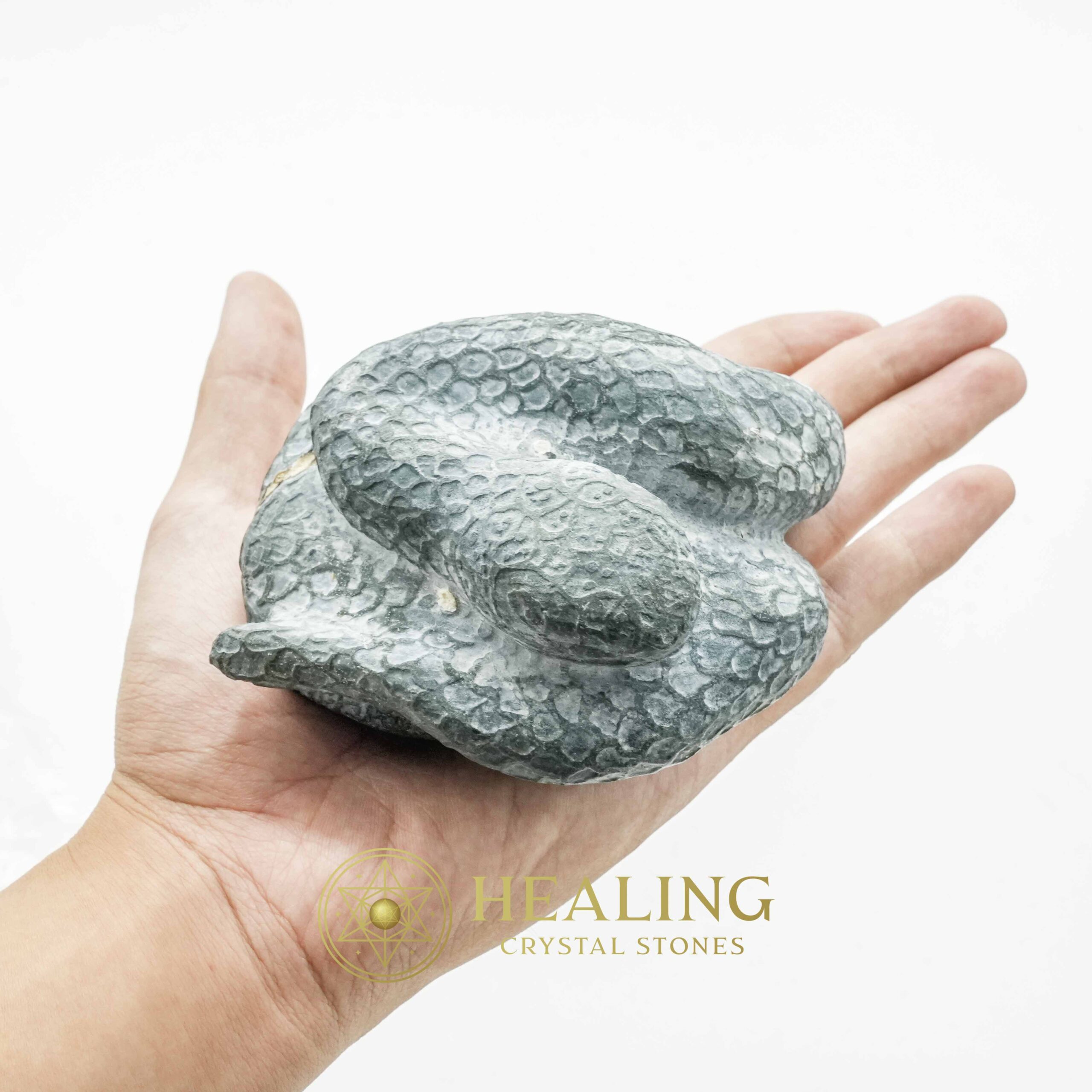Snake Fossils - Type D5 - Spiritual Crystals, Bezoar Stones, Bezoar Crystals, Healing Bezoar Stones, Animal Totem Stones, Magical Stones, Magickal Stones, occult, mystical, spiritual