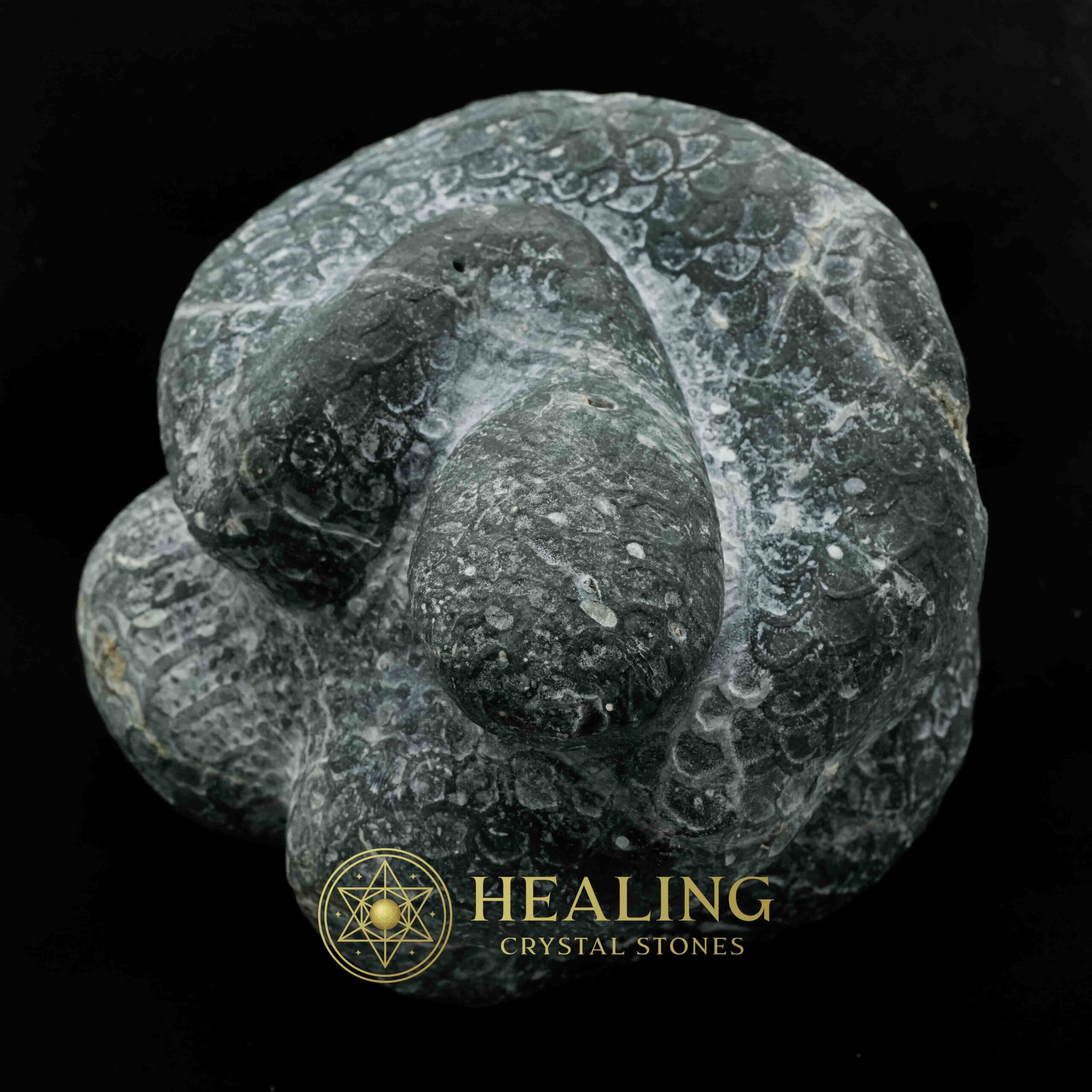 Snake Fossils - Type D9 - Power Animal Stones, Magickal Crystals, Ritual Power Stones, Ritual Crystals, Crystals, Talismans Stones, Talisman Crystals, metaphysics, psychic, shamanic