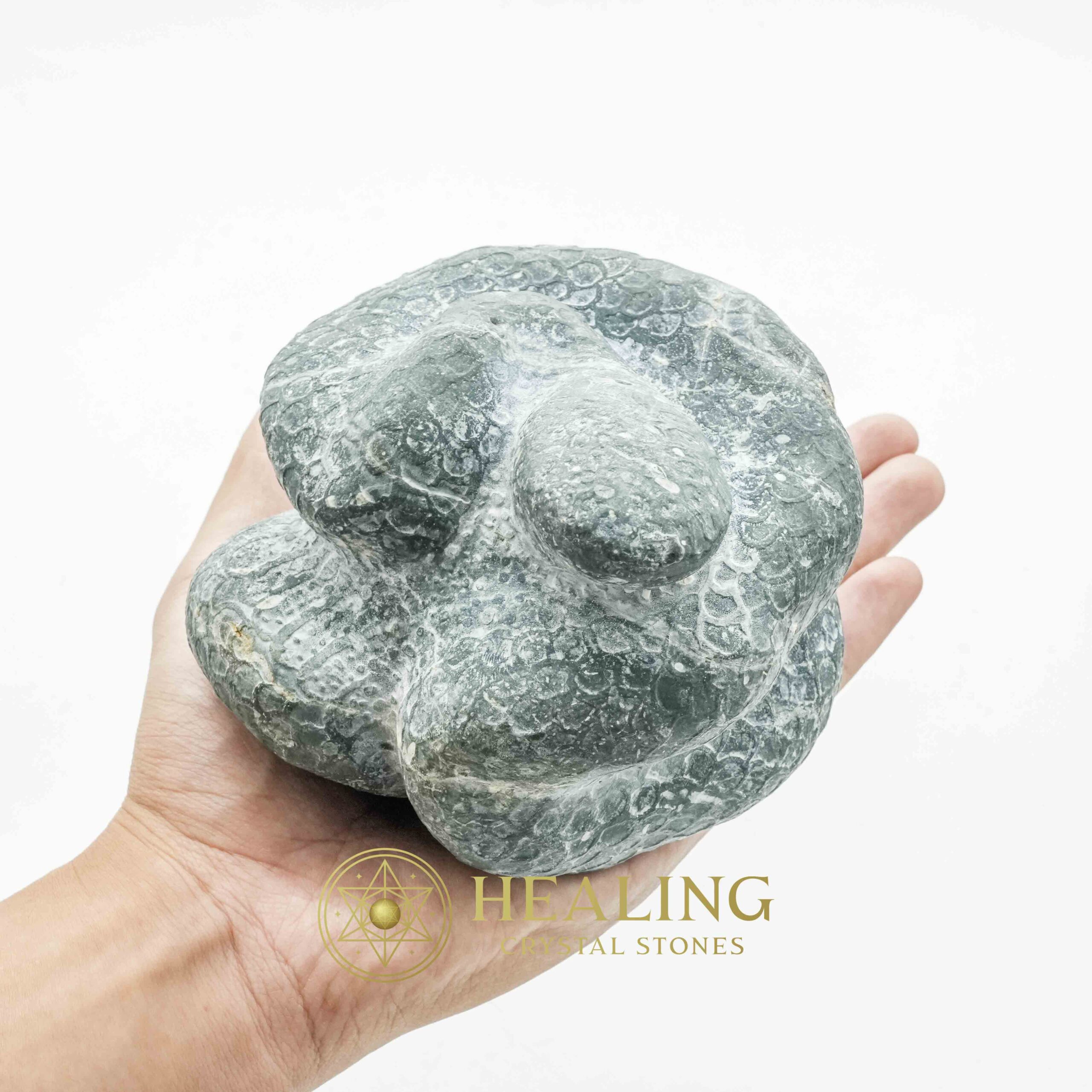 Snake Fossils - Type D9 - Power Animal Stones, Magickal Crystals, Ritual Power Stones, Ritual Crystals, Crystals, Talismans Stones, Talisman Crystals, metaphysics, psychic, shamanic