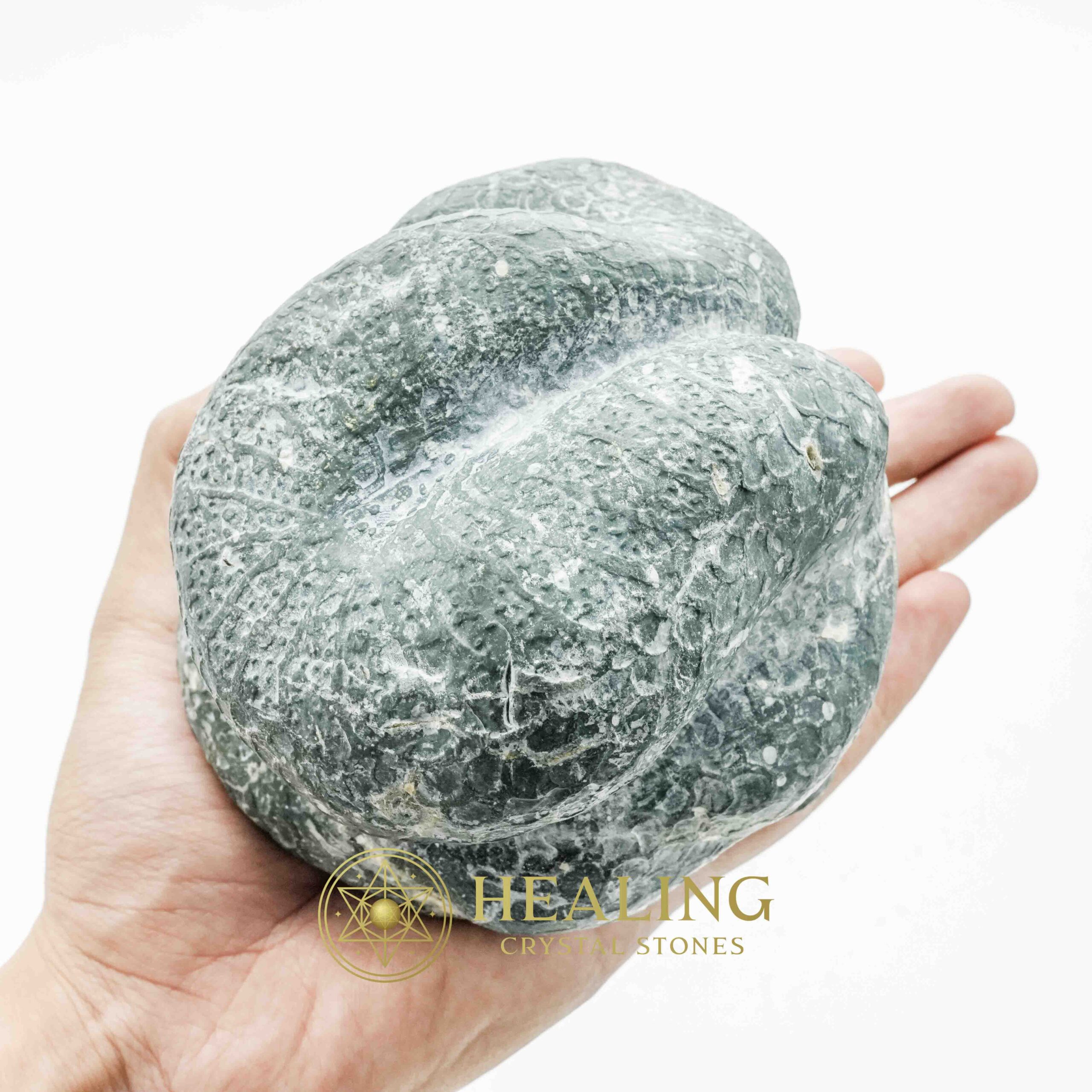Snake Fossils - Type D9 - Power Animal Stones, Magickal Crystals, Ritual Power Stones, Ritual Crystals, Crystals, Talismans Stones, Talisman Crystals, metaphysics, psychic, shamanic