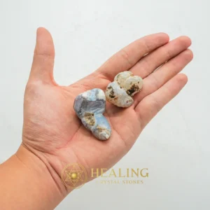 Sun Snake Fossilized Genital - Type A1 - Magical Stones, Magickal Stones, Magickal Crystals, Ritual Power Stones, Ritual Crystals, Enchanted Stones, Ritualistic, Ceremnoial, Mystical, Sacred