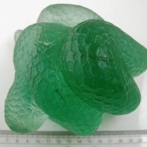 Snake Fossil - SF 39
