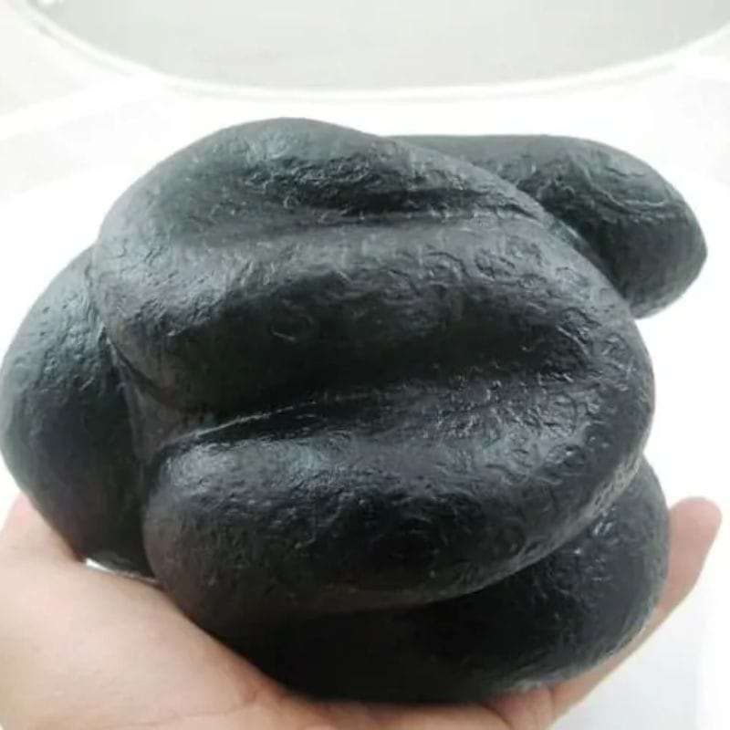 Snake Fossil - SF 30