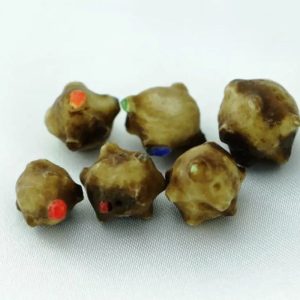 Centipede Pearls - Type O5