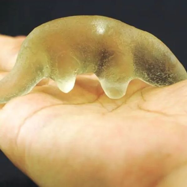 Fossilized Weasel Pearl - Type A11 - Image 2