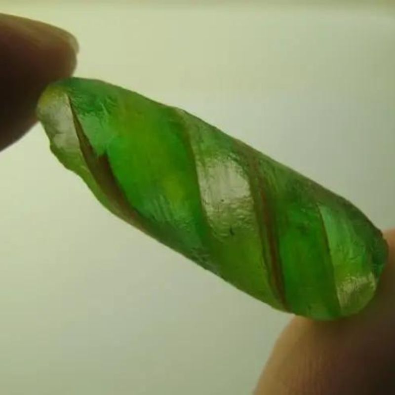 Green Cobra Pearl - Type V2(Female) between fingers